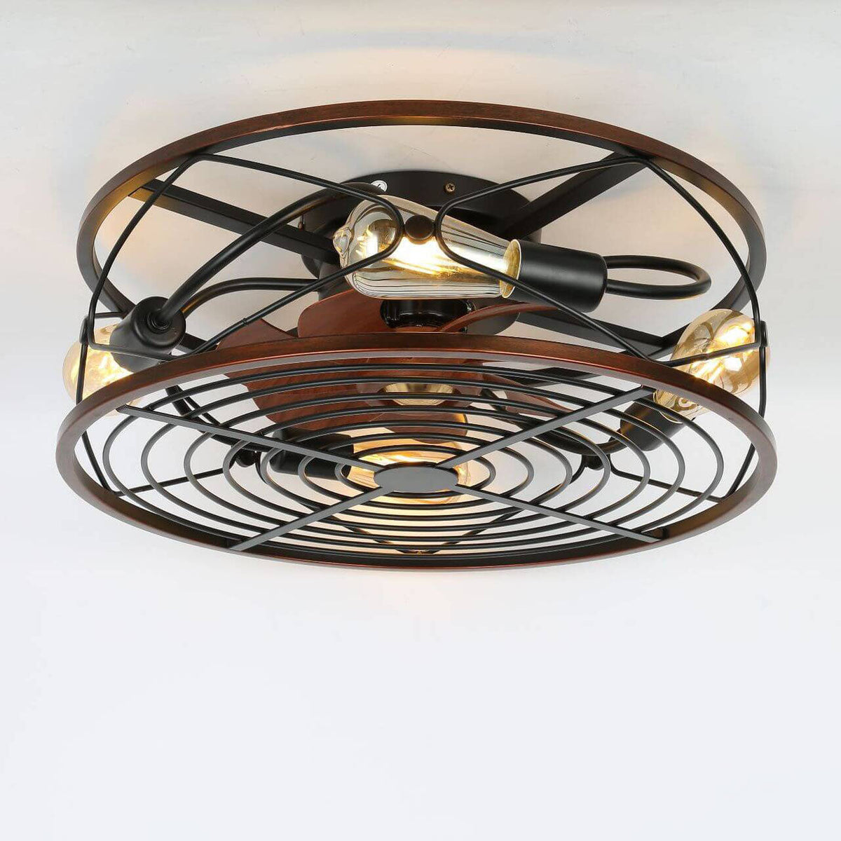 Ceiling Fan Light detail