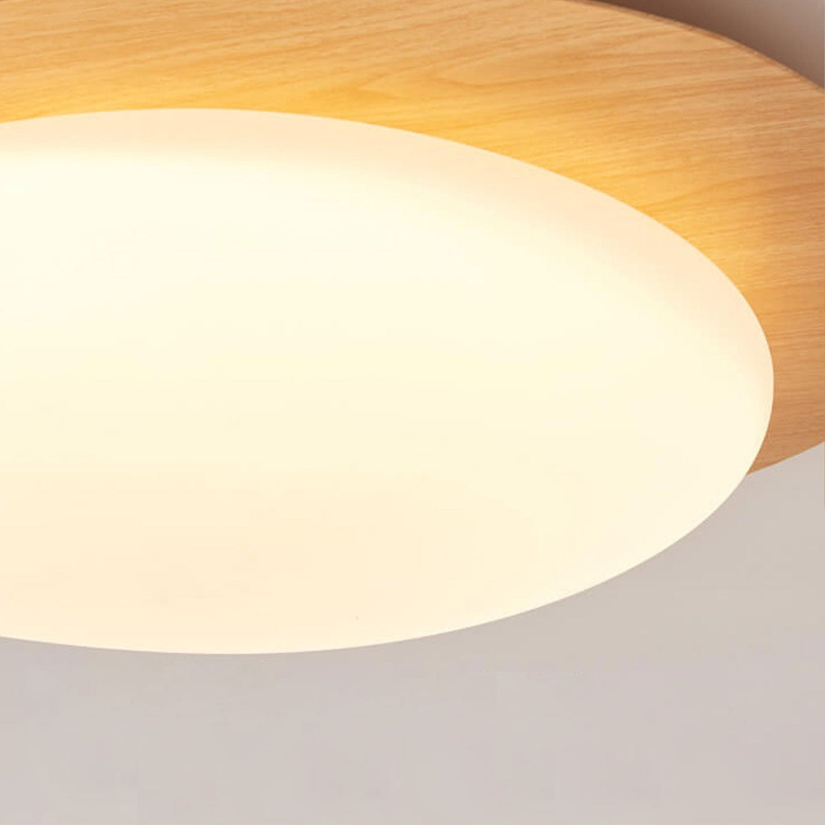 Pebble Flush Mount Ceiling Light detail