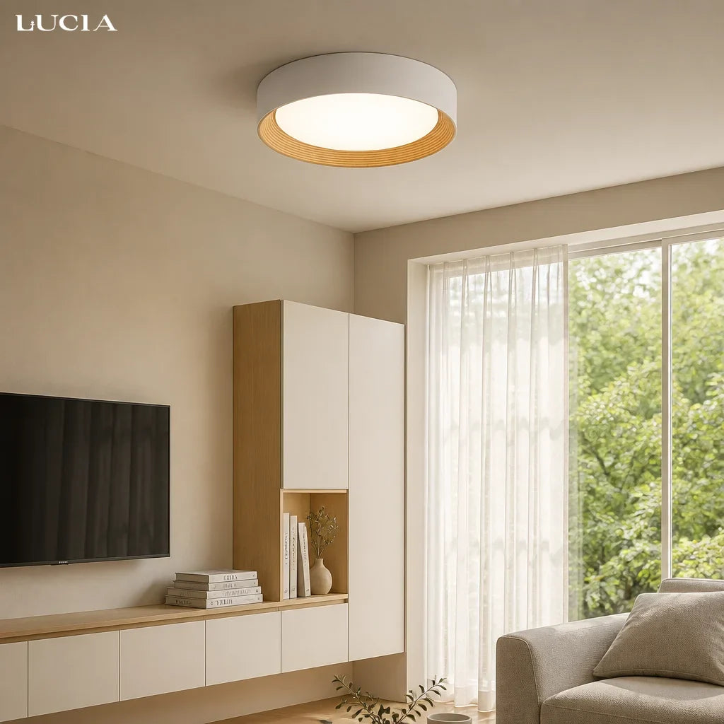 Remy Minimalist Round Flush Mount Ceiling Light