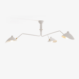 Multi-Arm Spider Ceiling Light A