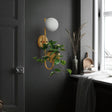 Sphere Storage Box Wall Sconce Lamp lifestyle