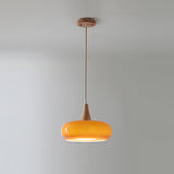 Charlotte pendant light 1 Head Orange