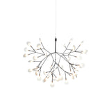 Heracleum Branch Chandelier
