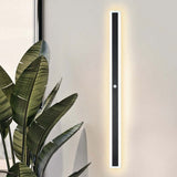 Vynn Linear Outdoor Wall Light dimmable steady