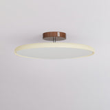 Fyne ceiling light detail angle