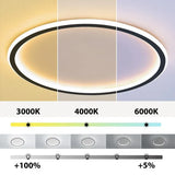 Quasso Flush Mount Ceiling Light